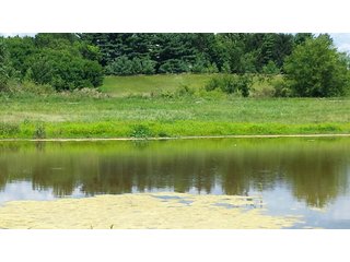 Property photo 8 - Real Estate Auction - 125.5 Acres in 6 Tracts - Tillable Farmland, Country Home, Building Sites, Wooded Land